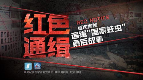中医药信息研究所纪委组织干部职工观看警示教育片《红色通缉》