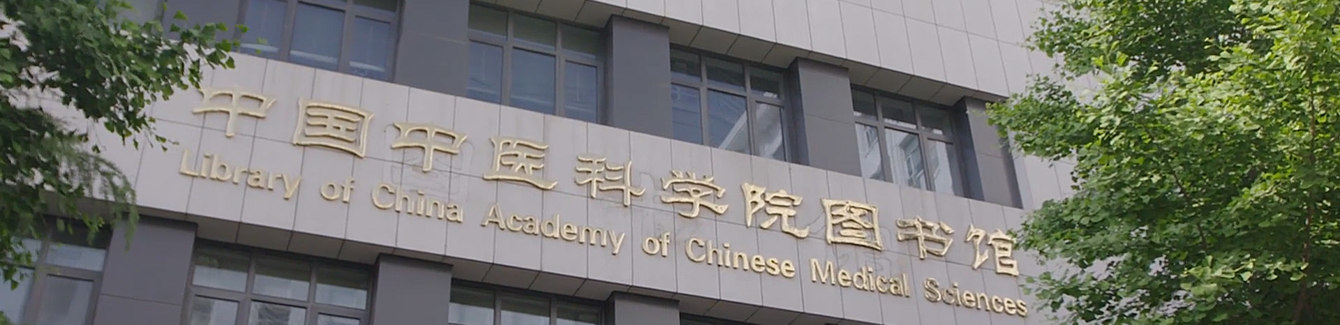 轮播图-1