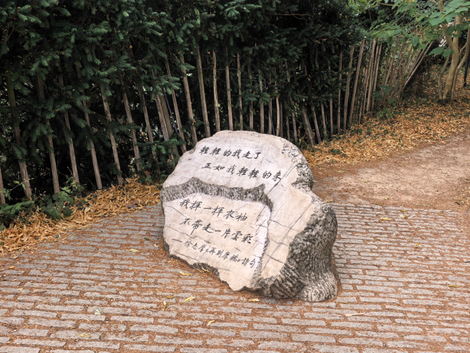 潘柔妍6.png